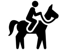 Horseback Riding Tours-Trails